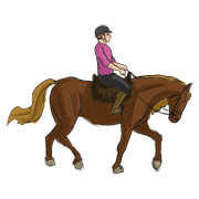 horse riding